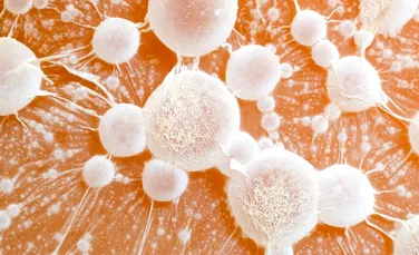 Oamenii de știință au descoperit două gene care ar putea opri răspândirea cancerului