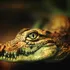 Cercetătorii au creat o piele electronică asemănătoare cu cea de crocodil