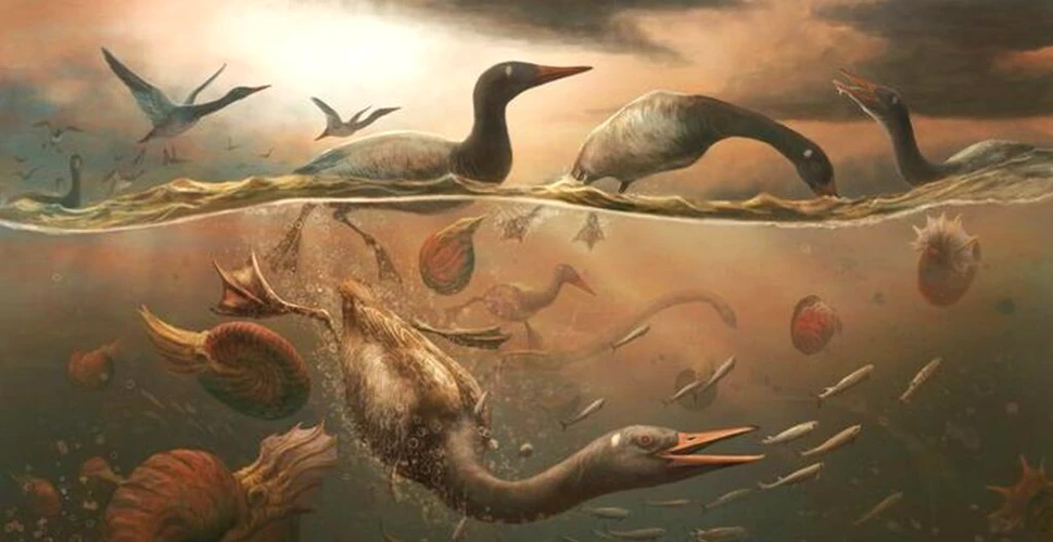 O fosilă din Antarctica ne prezintă rațele din era dinozaurilor