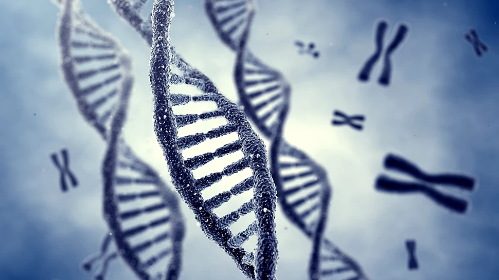 Marele MISTER al ”limitei evolutive” a vieţii a fost rezolvat. De ce codul nostru genetic s-a oprit din evoluţie