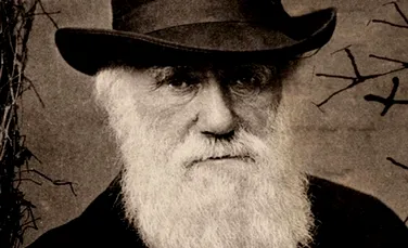 Două caiete care au aparținut lui Charles Darwin, cu o valoare de milioane de lire sterline, au dispărut