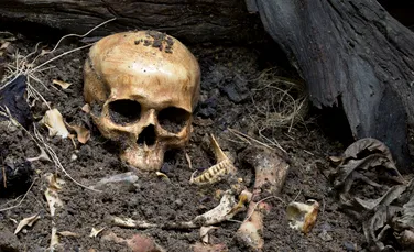 Arheologii au descoperit dovezi ale unor decapitări ritualice într-o piramidă mayașă