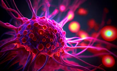 Un supliment anti-îmbătrânire ar putea contribui la evoluția celulelor canceroase