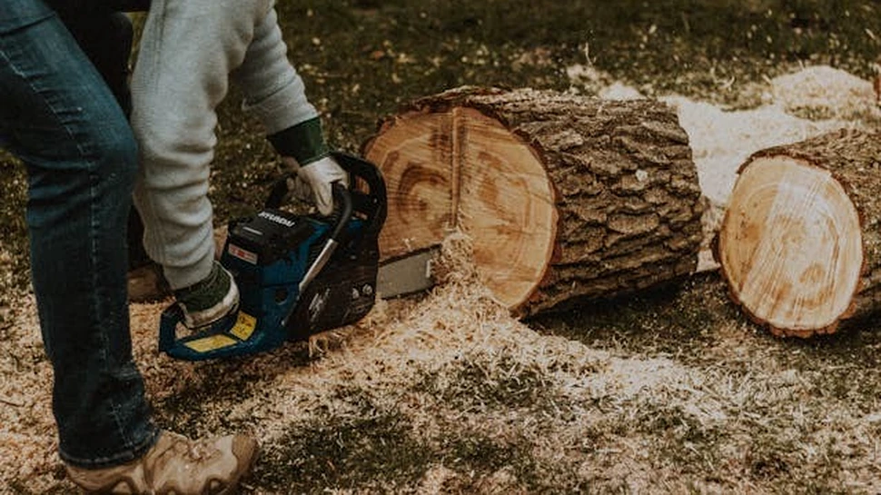 Puterea controlată: cum alegi și folosești corect o unealtă pentru tăieri rapide și curate (P)