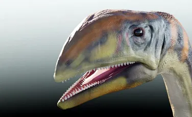 O nouă specie de dinozaur erbivor, descoperită pentru prima dată în Groenlanda