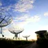 Un obiect misterios din galaxia noastră pulsează la fiecare 44 de minute