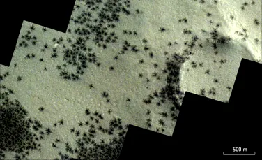 Sonda europeană Mars Express a observat „păianjeni” pe planeta Marte