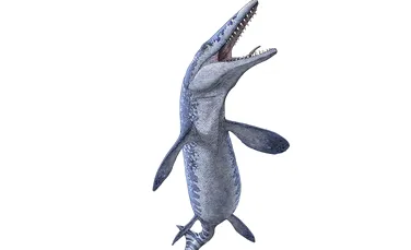 Fosila unui Tylosaurus, descoperită într-o mină din Canada