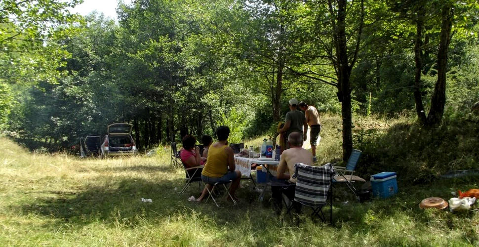Petrecăreții de 1 mai au distrus aproape jumătate dintre arborii plantați într-o zonă din Oradea