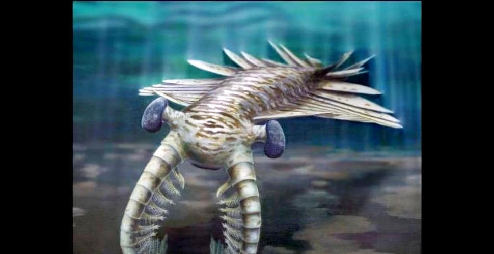 Au fost descoperiţi ochii unui super-prădător marin de acum 500 de milioane de ani