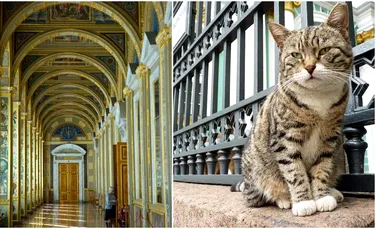 Unul dintre cele mai vechi şi mai grandioase muzee din lume are ”angajate” 74 de pisici. Totul a pornit de la împărăteasa Ecaterina a-II-a