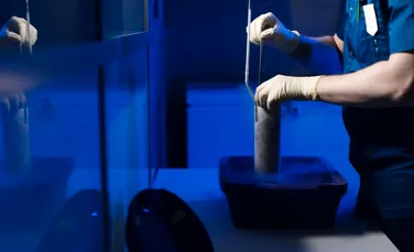 Embrionii umani pot fi acum dezvoltați în laborator mai mult de 14 zile