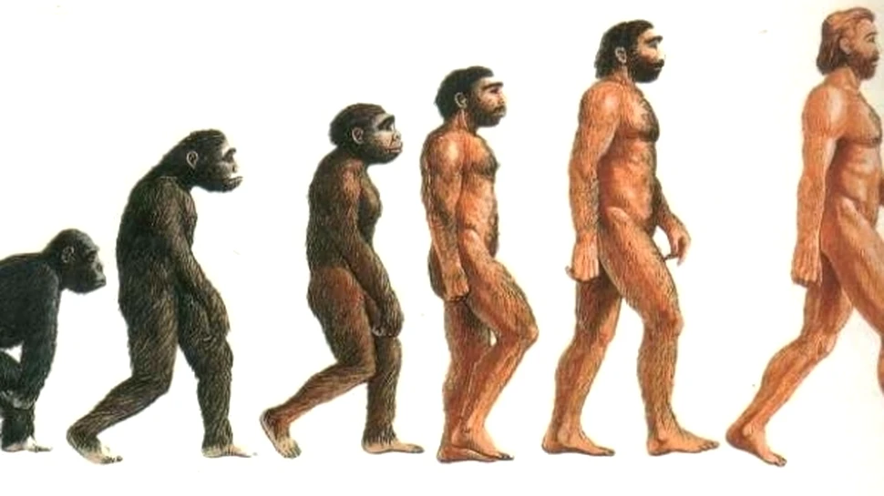 Spatiul “locativ”, determinant pentru evolutia speciilor