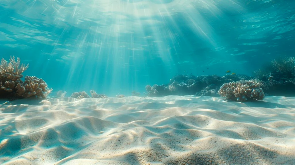 Test de cultură generală. Care este cel mai mare pește din ocean?