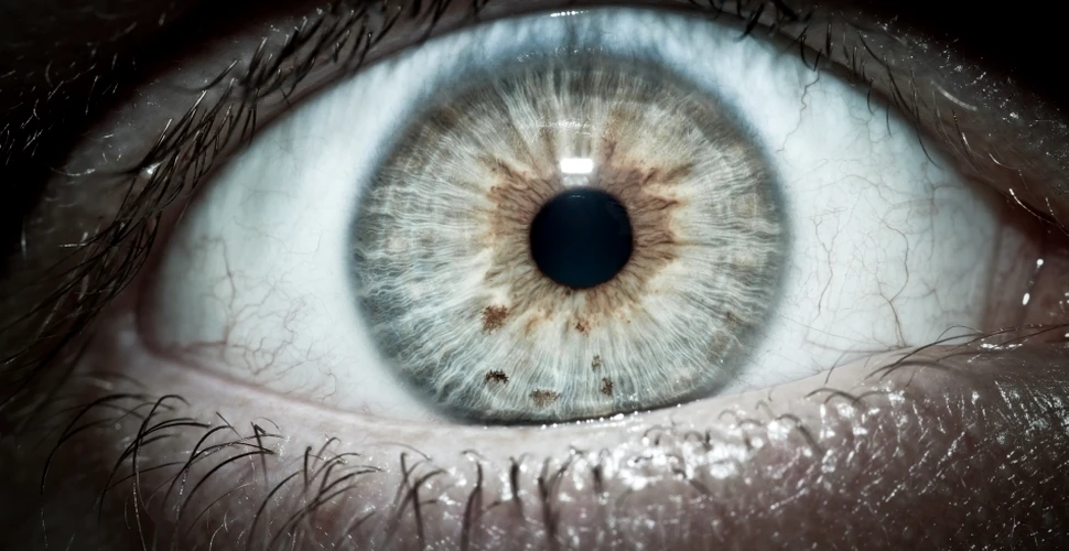 Cum sunt afectaţi ochii de privitul la calculator sau smartphone