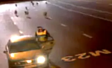 Atacul incredibil al lupilor pe autostrada (VIDEO)