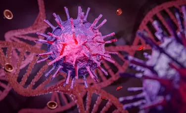 Cercetătorii au arătat, în premieră, cum declanșează coronavirusul un răspuns imunitar în creier