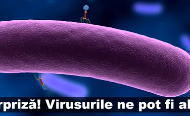 Surpriză! Virusurile ne pot fi aliaţi
