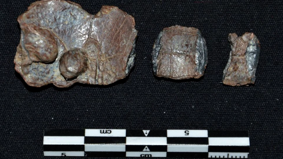 Tablete cu blesteme descoperite în Atena