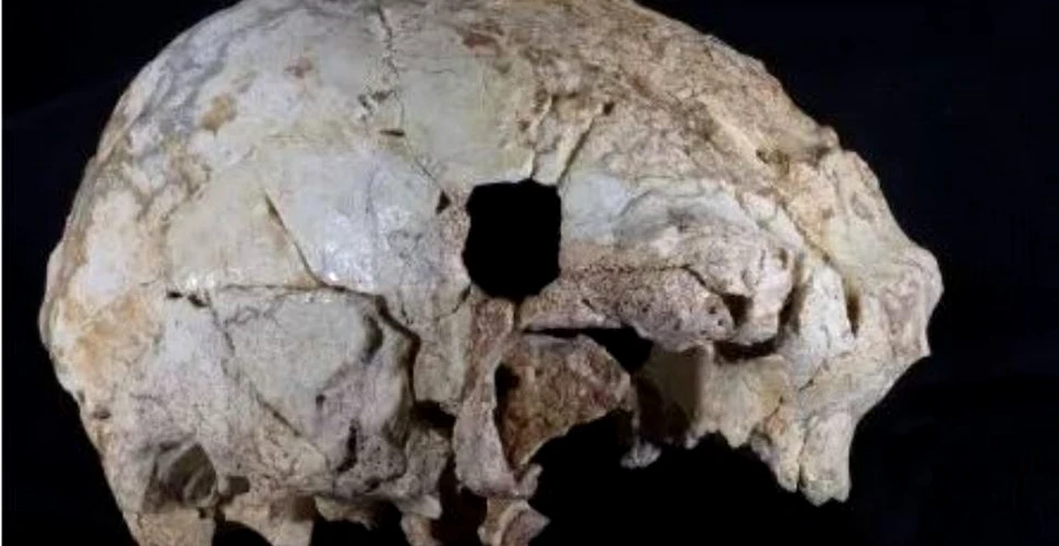 O descoperire remarcabilă a unui craniu de acum 400.000 de ani schimbă teoria EVOLUŢIEI omului