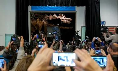 A fost expus scheletul celui mai mare DINOZAUR care a existat vreodată – FOTO, VIDEO