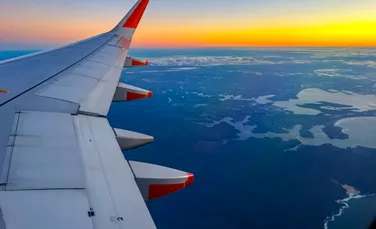 Întârziere de două ore pentru pasagerii unui avion din Australia, după ce un șarpe a fost găsit la bord