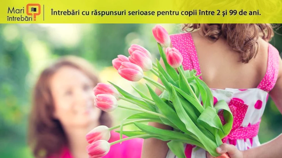 Cât timp rezistă o floare după ce este culeasă?