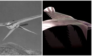 Dronele Aquiline ale CIA, asemănătoare unor păsări, ar putea fi și acum în una dintre clădirile de la Zona 51