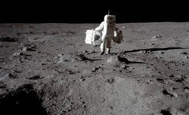 Gândaci care au mâncat praf lunar colectat de Apollo 11, vânduți la licitație