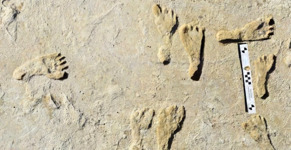 Urmele fosilizate arată că oamenii au ajuns în America de Nord mult mai devreme decât se credea