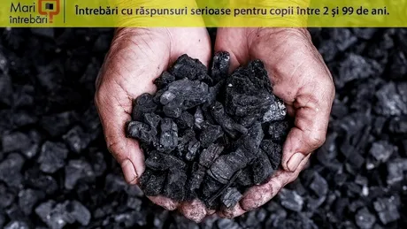 Cum se formează cărbunele?