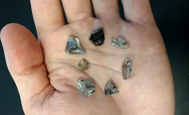 Diamantele de la mari adâncimi, cele mai valoroase bijuterii, le oferă cercetătorilor informaţii importante din străfundul Pământului