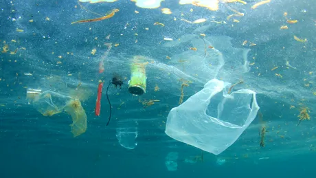 Ce s-a întâmplat după interzicerea și taxarea pungilor de plastic în SUA?
