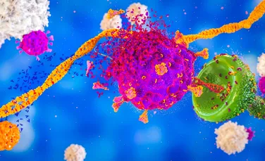 Cercetători din Marea Britanie au identificat ținte pentru celulele T, cu rol în apariția unor noi vaccinuri împotriva COVID-19