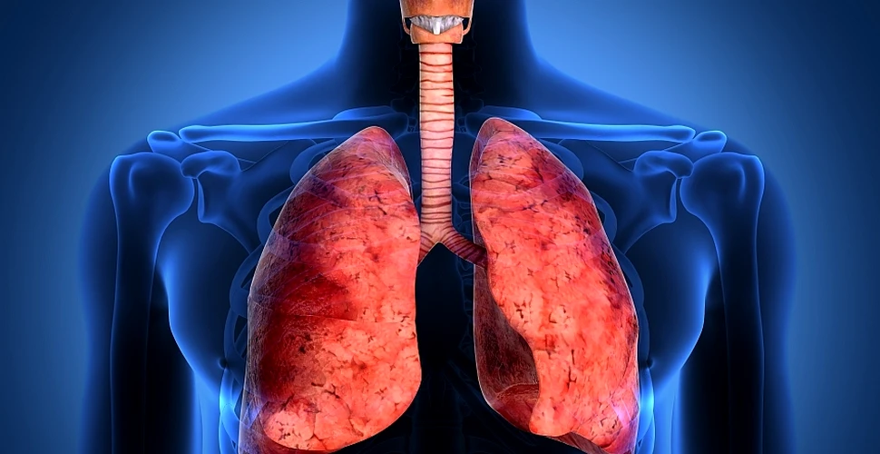 Misterul cazurilor rare de plămâni „sănătoşi” ai adulţilor care fumează de o viaţă întreagă, descifrat de cercetători