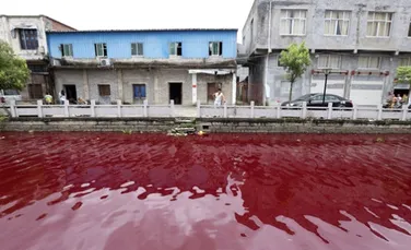 Un râu a căpătat peste noapte culoarea roşie, asemeni sângelui. Care este explicaţia?
