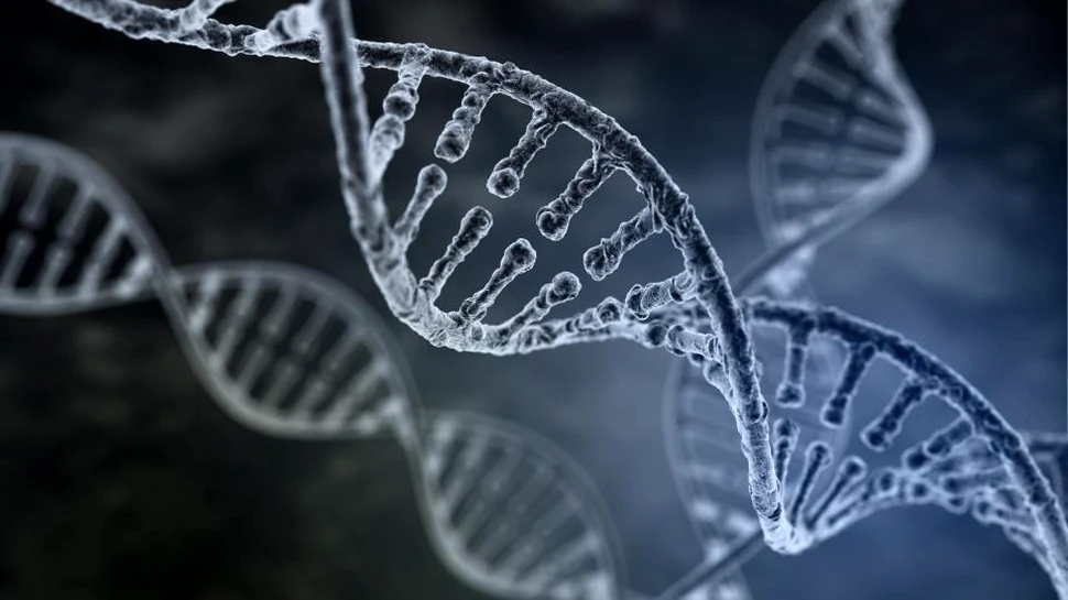 Premieră! ADN-ul mitocondrial poate fi transmis şi de la tată la copil