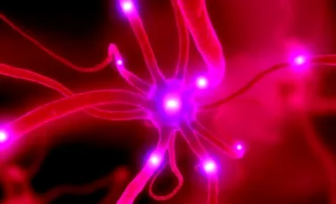Cum transformi o celula a pielii intr-un neuron functional