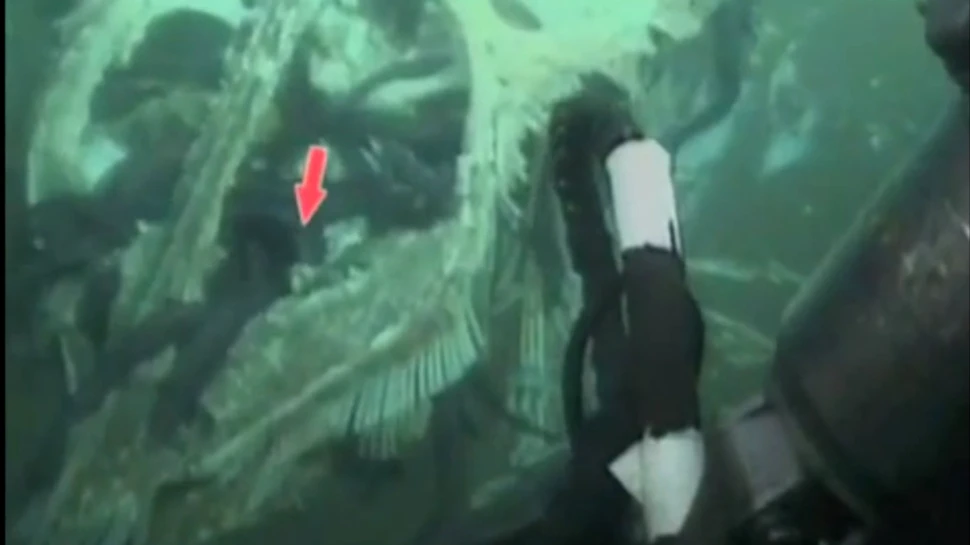 Descoperire surprinzătoare făcută de o sondă submarină, la mare adâncime. ”Este unic în lume” (VIDEO)