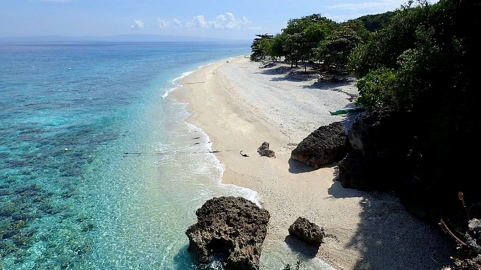 O descoperire de ”unul la un milion” a fost realizată în Filipine