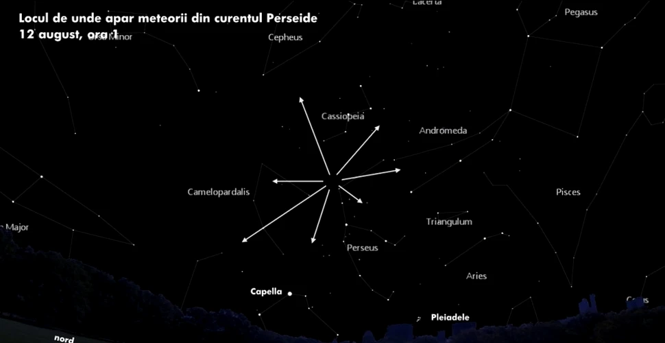 Zilele acestea, românii vor putea vedea cu ochiul liber Perseidele, spectaculosul roi de meteori. Cum diferă de o „ploaie de stele”