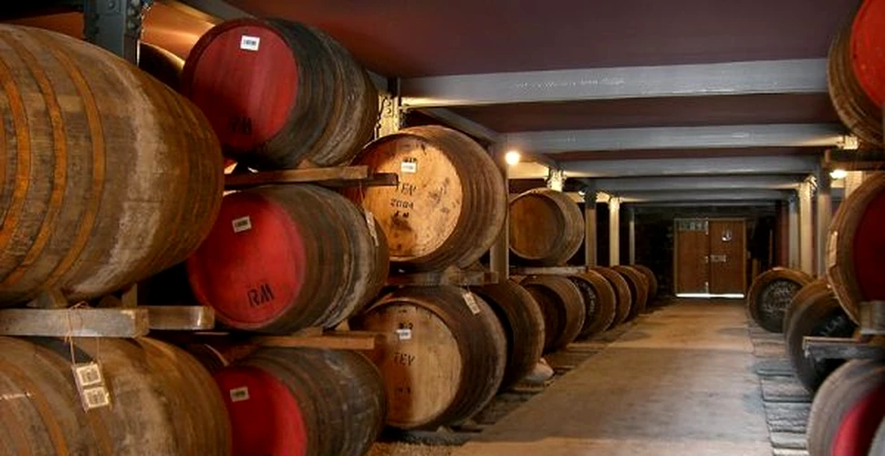 Industria de whisky va alimenta casele scoţienilor cu electricitate
