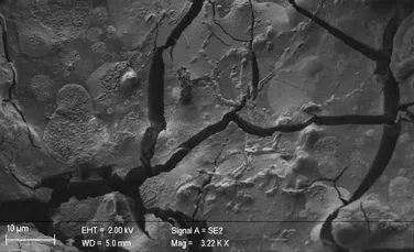 Descoperire arheologică rară: Celulele creierului unei victime a erupției Vezuviului, găsite vitrificate