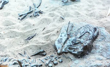 Fosila unei creaturi marine preistorice a uimit paleontologii