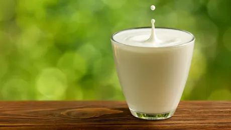 Test de cultură generală. De ce laptele trebuie pasteurizat?