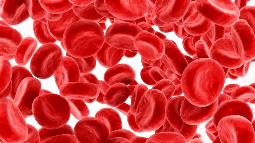 Cercetătorii au înțeles rolul celulelor T în cazul maladiei grefă-contra-gazdă