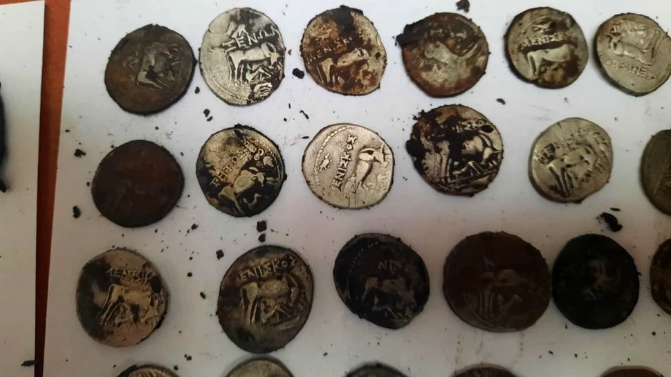Monede antice, găsite într-o pădure de lângă București