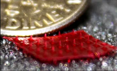 Micro-acele din mătase ar putea înlocui, în viitor, seringile hipodermice