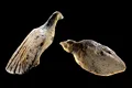 Ce dezvăluie două figurine din fildeș, vechi de 40.000 de ani, despre arta din Era Glaciară?
