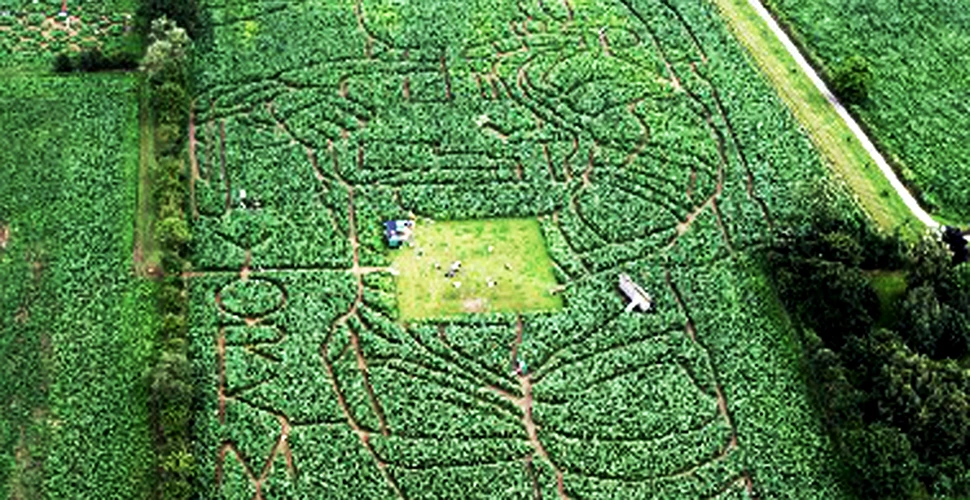 Aselenizarea a inspirat cel mai mare labirint viu din Europa
